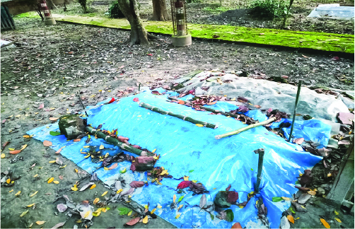 Image of মো: আব্দুল আলীম